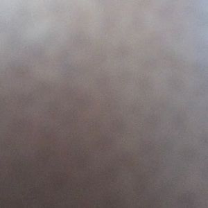 Meet your Posher, Stella